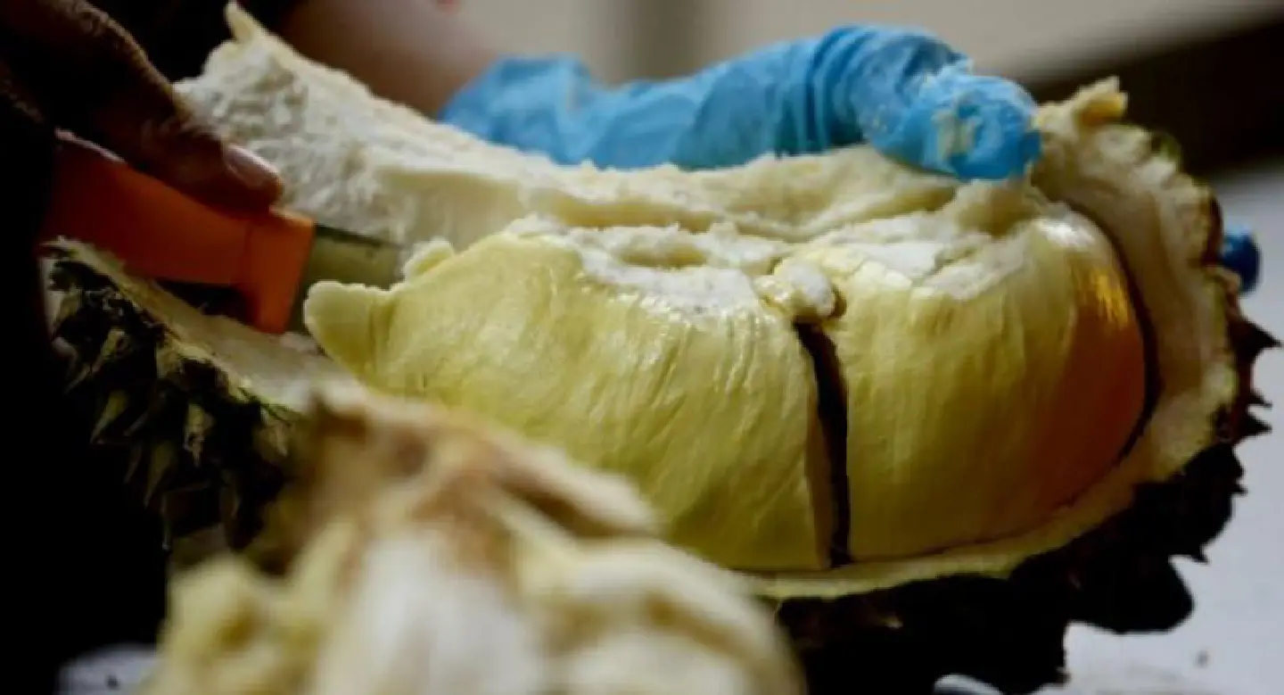 Warning over health problems from durian Warning over health problems from durian
