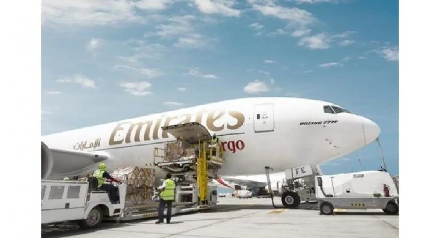 Emirates SkyCargo boosts exports from VN to UAE Emirates SkyCargo boosts exports from VN to UAE
