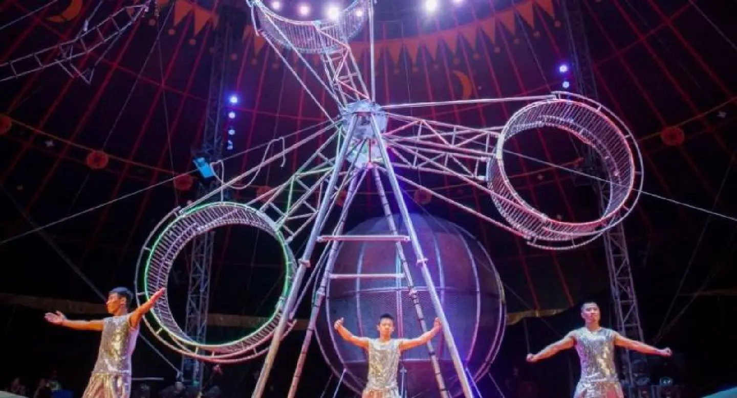 All the fun of the circus