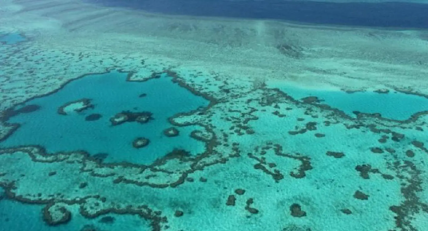 Great Barrier Reef bleaching worse than first thought Great Barrier Reef bleaching worse than first thought