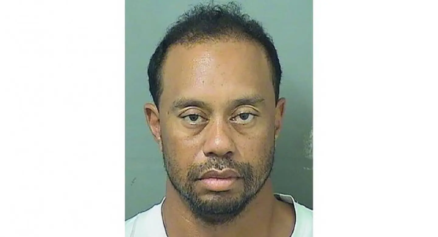 Tiger Woods charged with driving under influence Tiger Woods charged with driving under influence