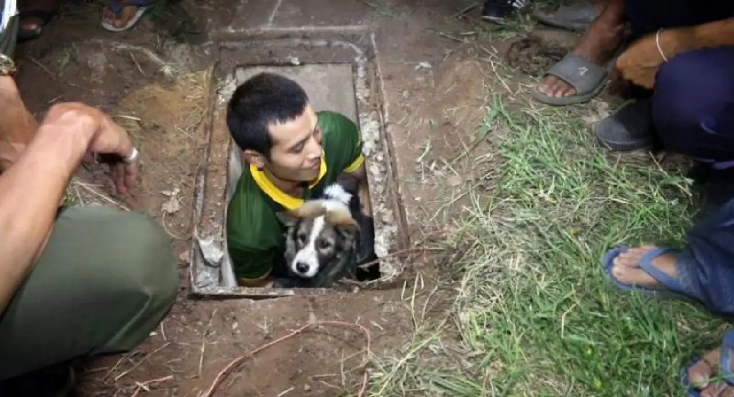 Puppy rescued from manhole after crossing 10-lane highway Puppy rescued from manhole after crossing 10-lane highway