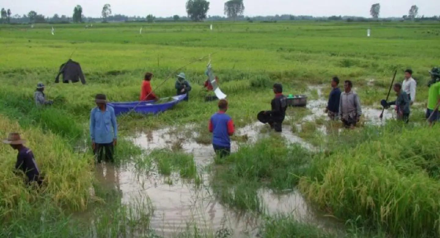 Many Buri Ram areas face flood risk Many Buri Ram areas face flood risk