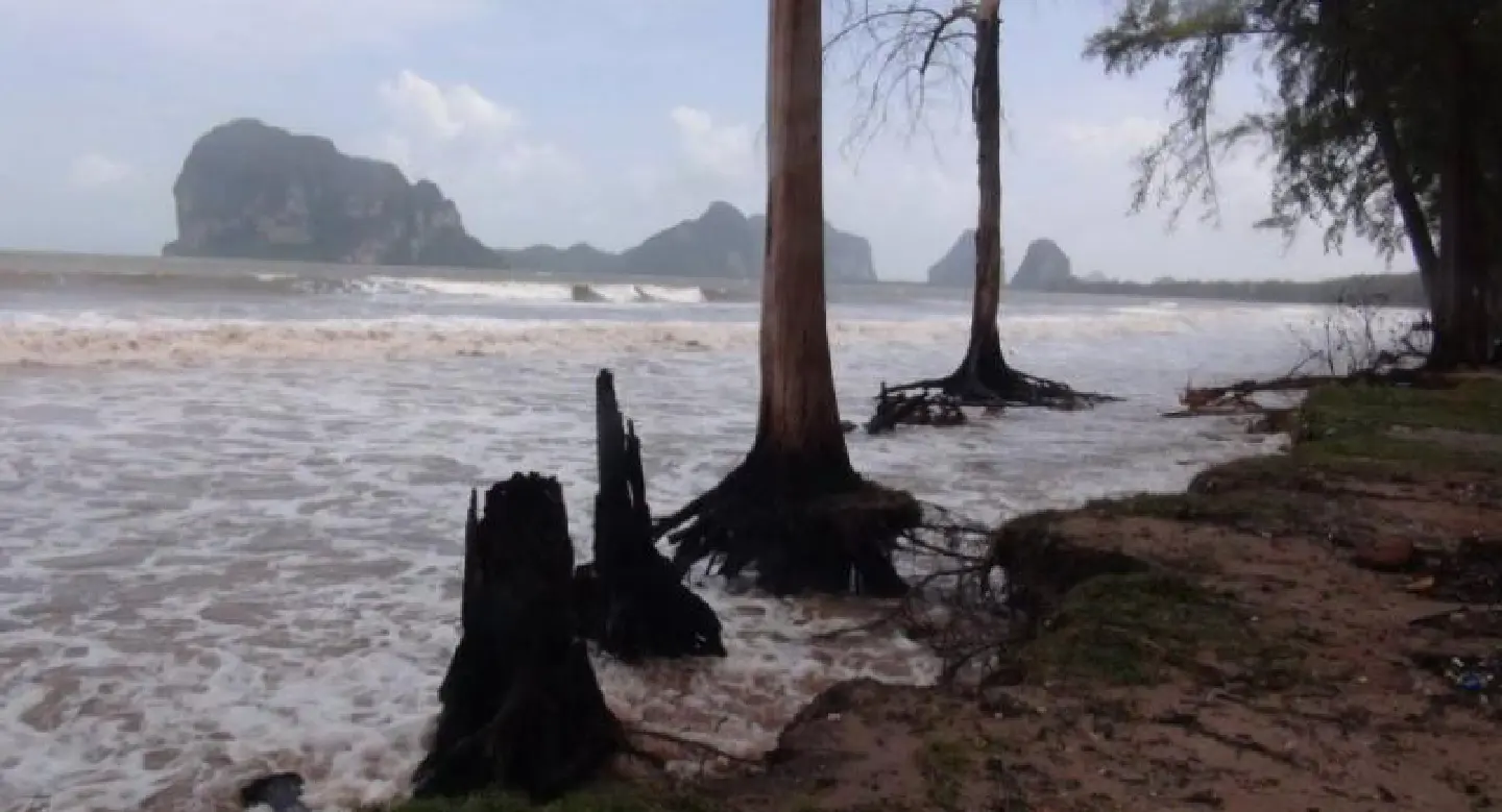 Trang marine park boss warns tourists to use life vests after man almost drowns Trang marine park boss warns tourists to use life vests after man almost drowns
