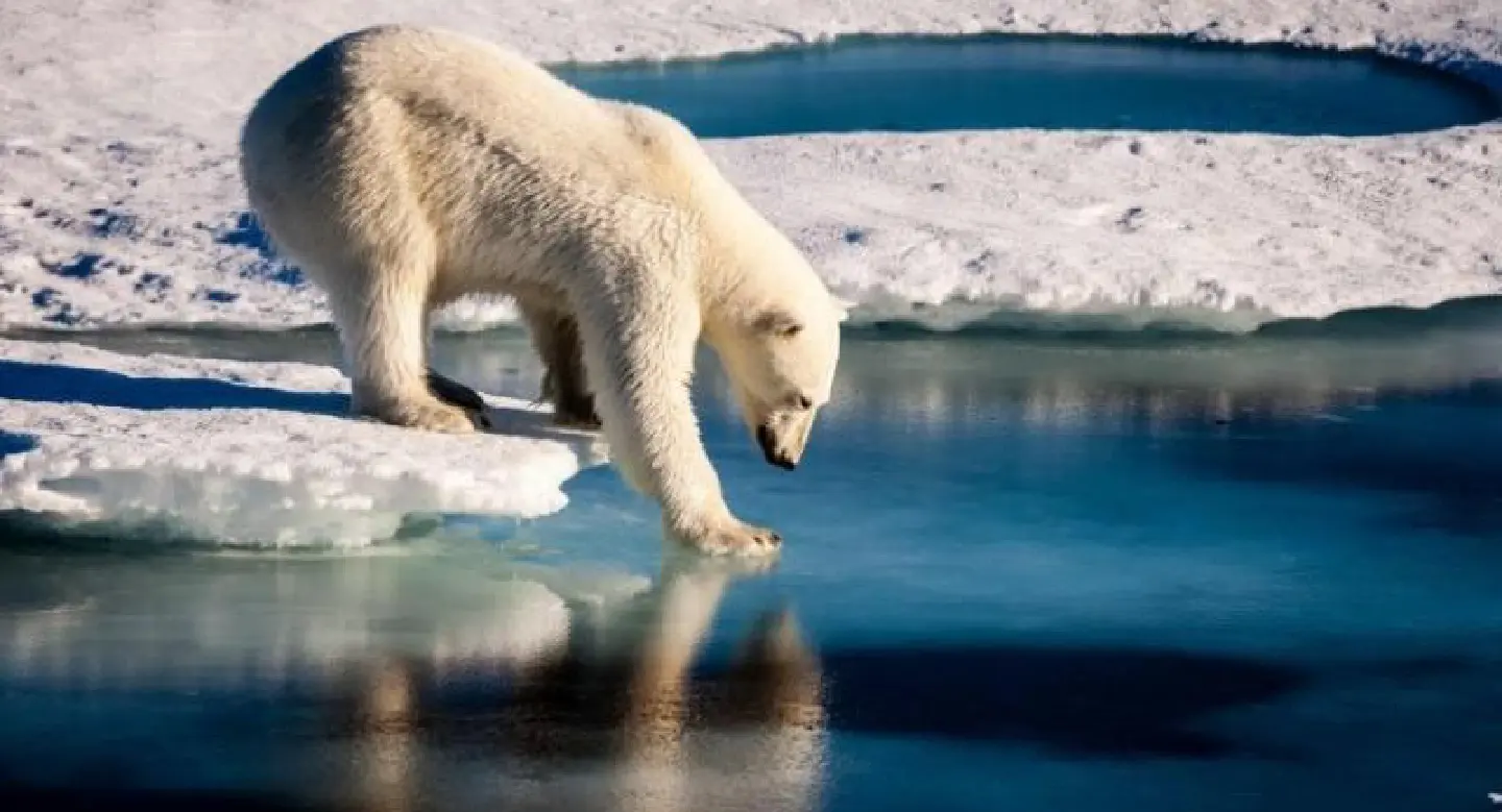 Climate science: Bad news gets worse Climate science: Bad news gets worse