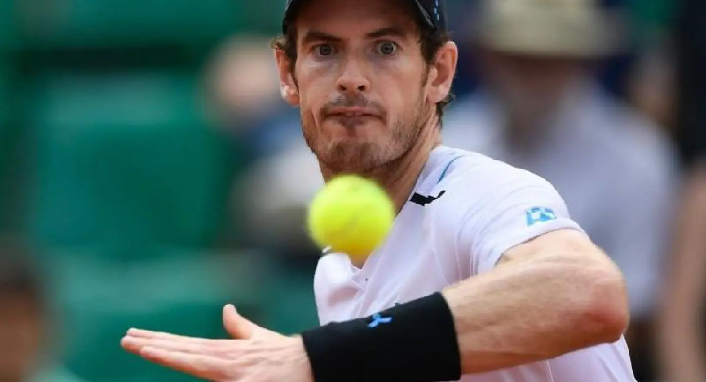 Murray, Del Potro set up French Open blockbuster Murray, Del Potro set up French Open blockbuster