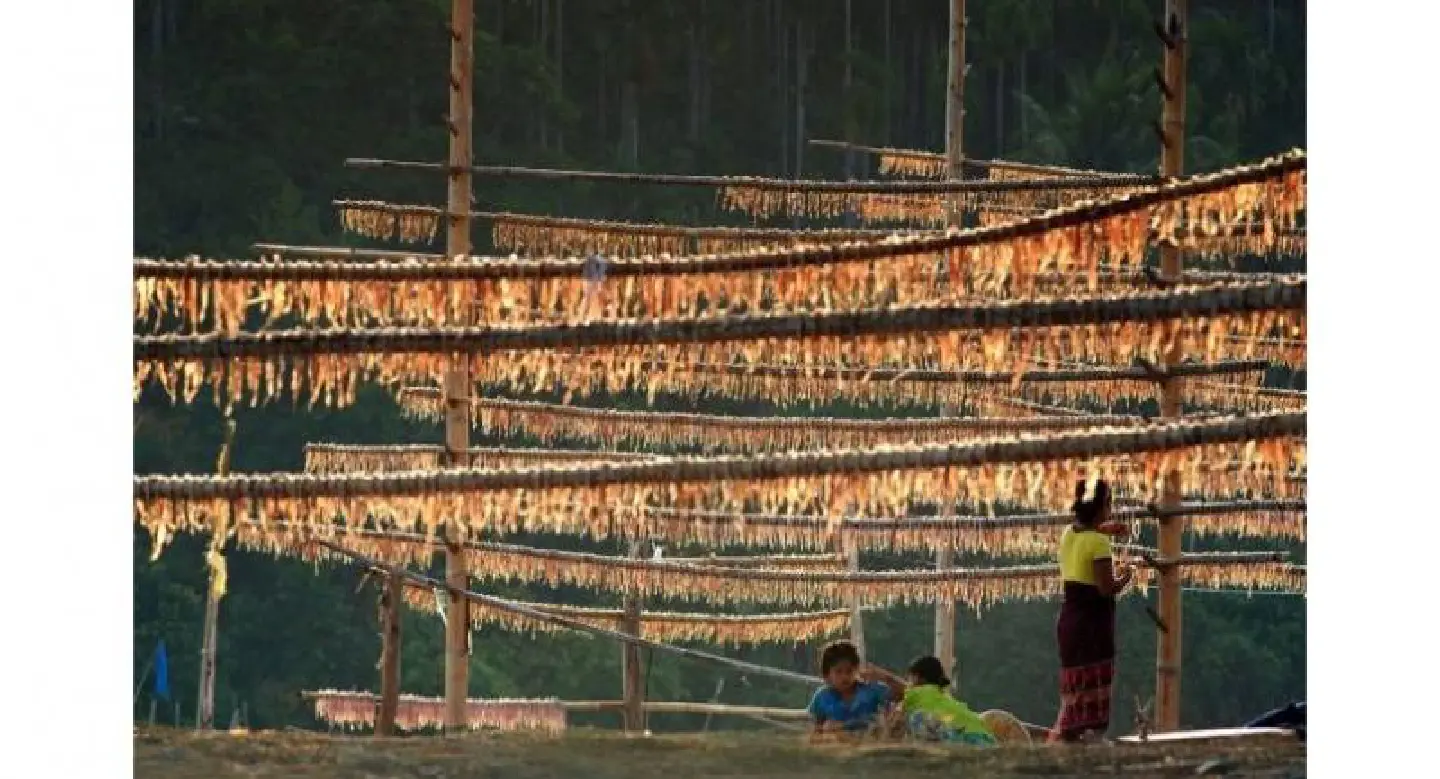 Mon villagers fight power project