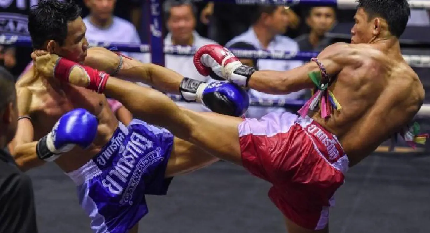Muay thai tourism by the numbers