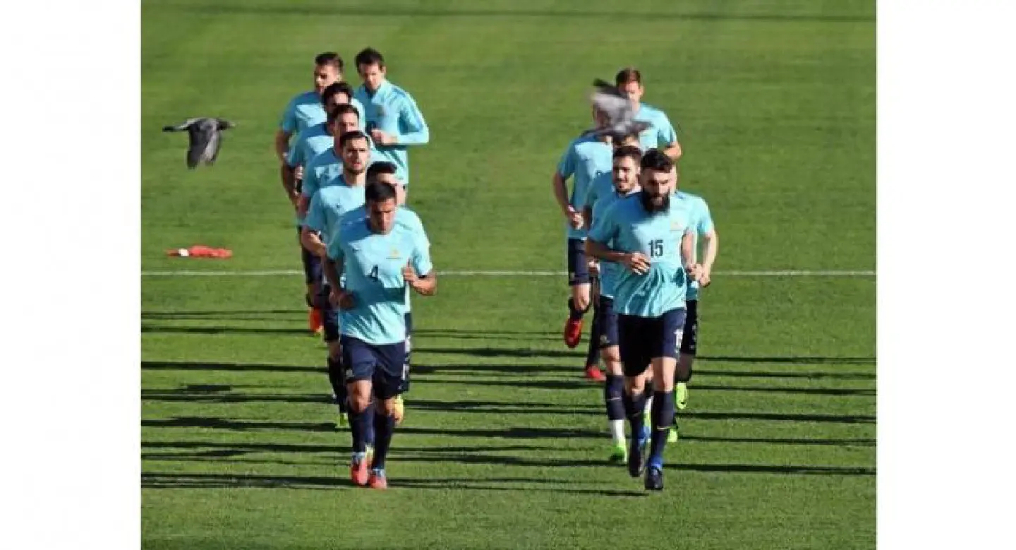 Australia face Saudis in must-win World Cup qualifier Australia face Saudis in must-win World Cup qualifier