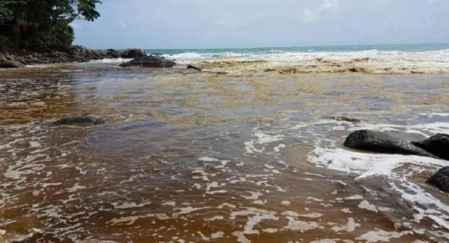 Marine chief dispels rumors of 'oil spill' at Phuket beach Marine chief dispels rumors of 'oil spill' at Phuket beach