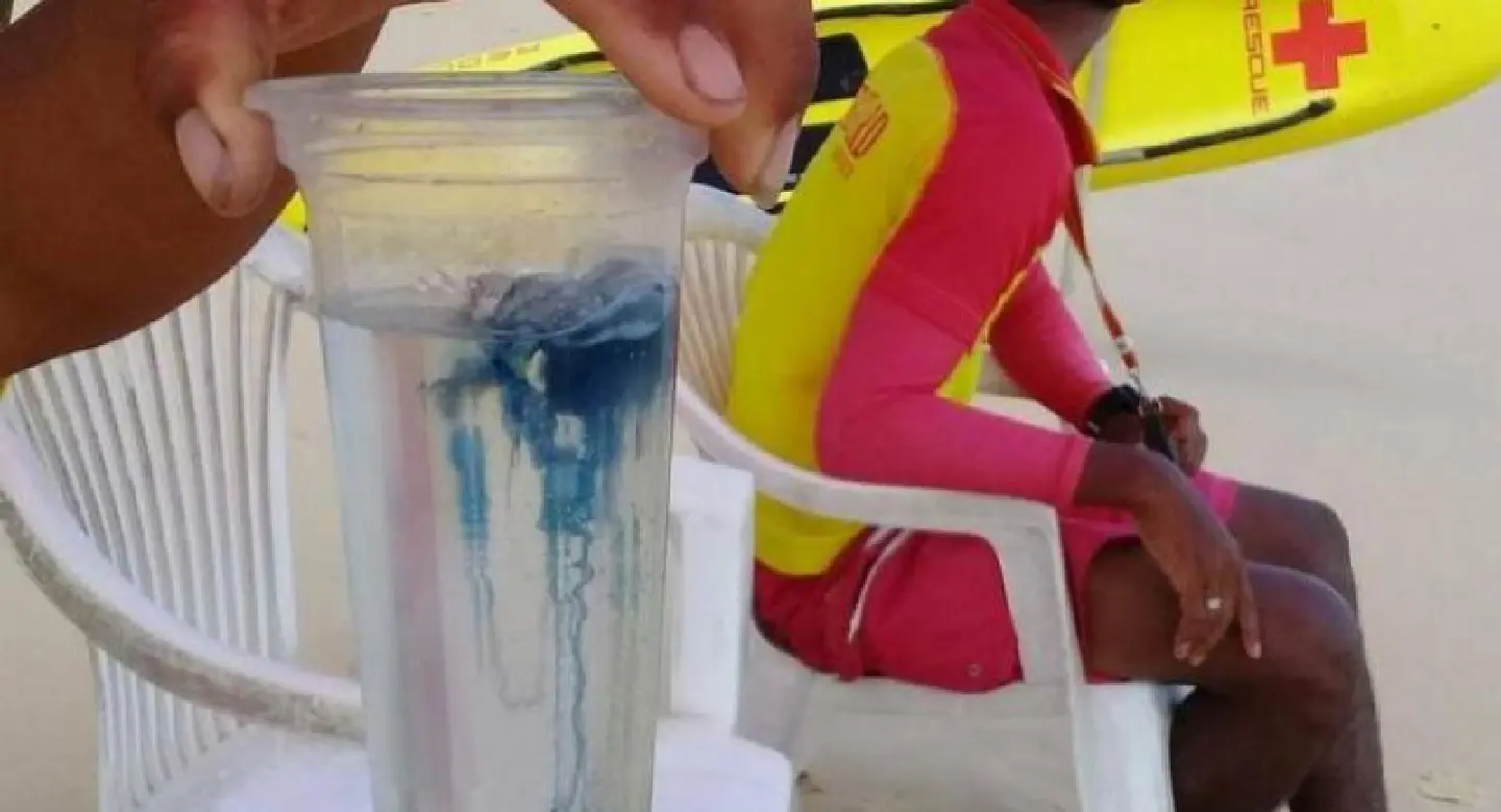 Phuket beachgoers warned of 'Portuguese Men of War' Phuket beachgoers warned of 'Portuguese Men of War'