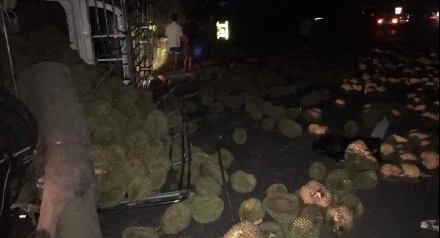 Pickup carrying durian overturns in Phitsanulok Pickup carrying durian overturns in Phitsanulok