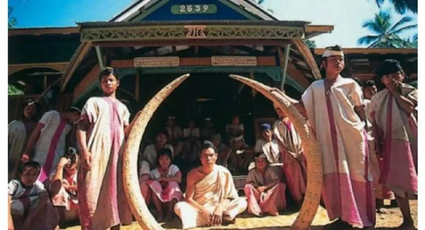 Police locate centuries-old carved elephant tusks stolen from Karen village