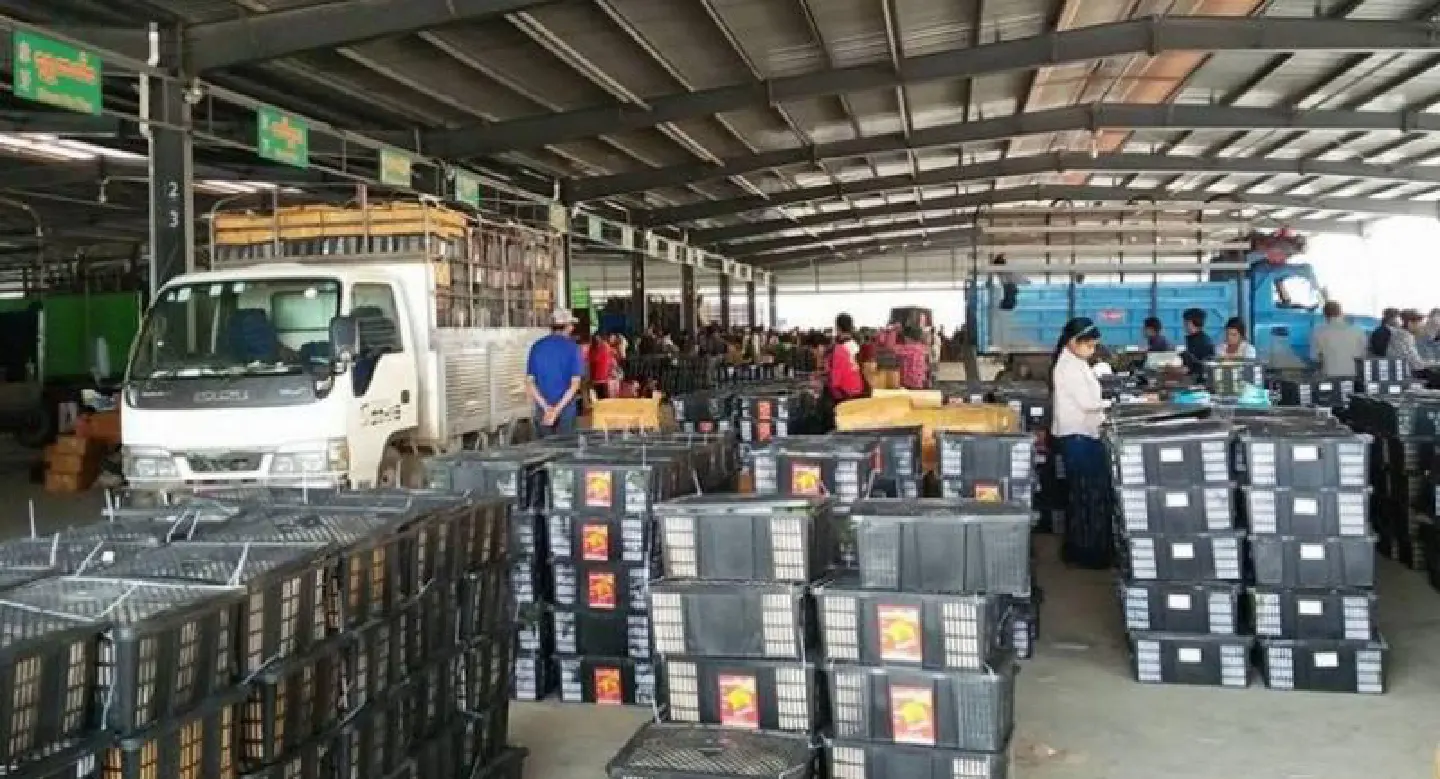 Myanmar-China trade now $10 billion a year Myanmar-China trade now $10 billion a year