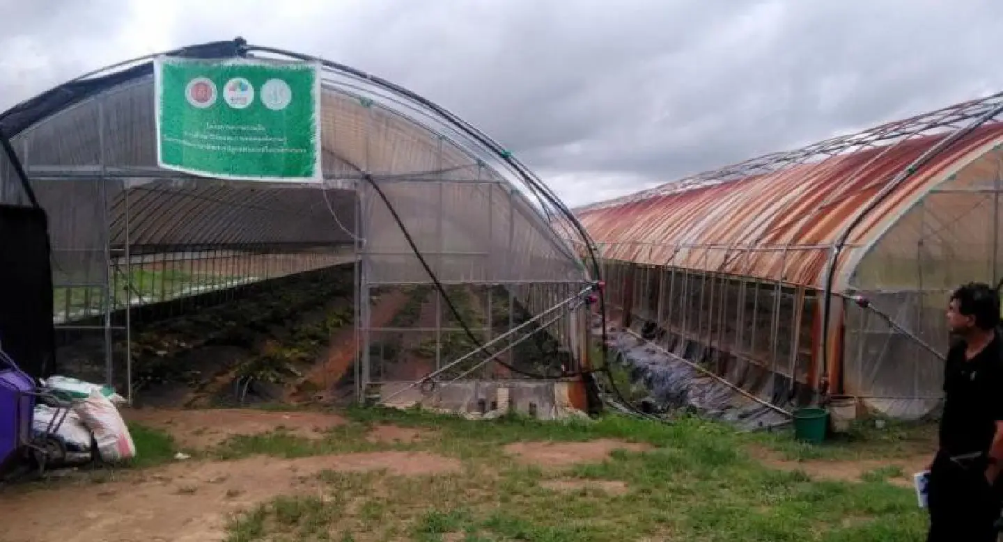 Students claim sexual harassment during internships at South Korean farms Students claim sexual harassment during internships at South Korean farms