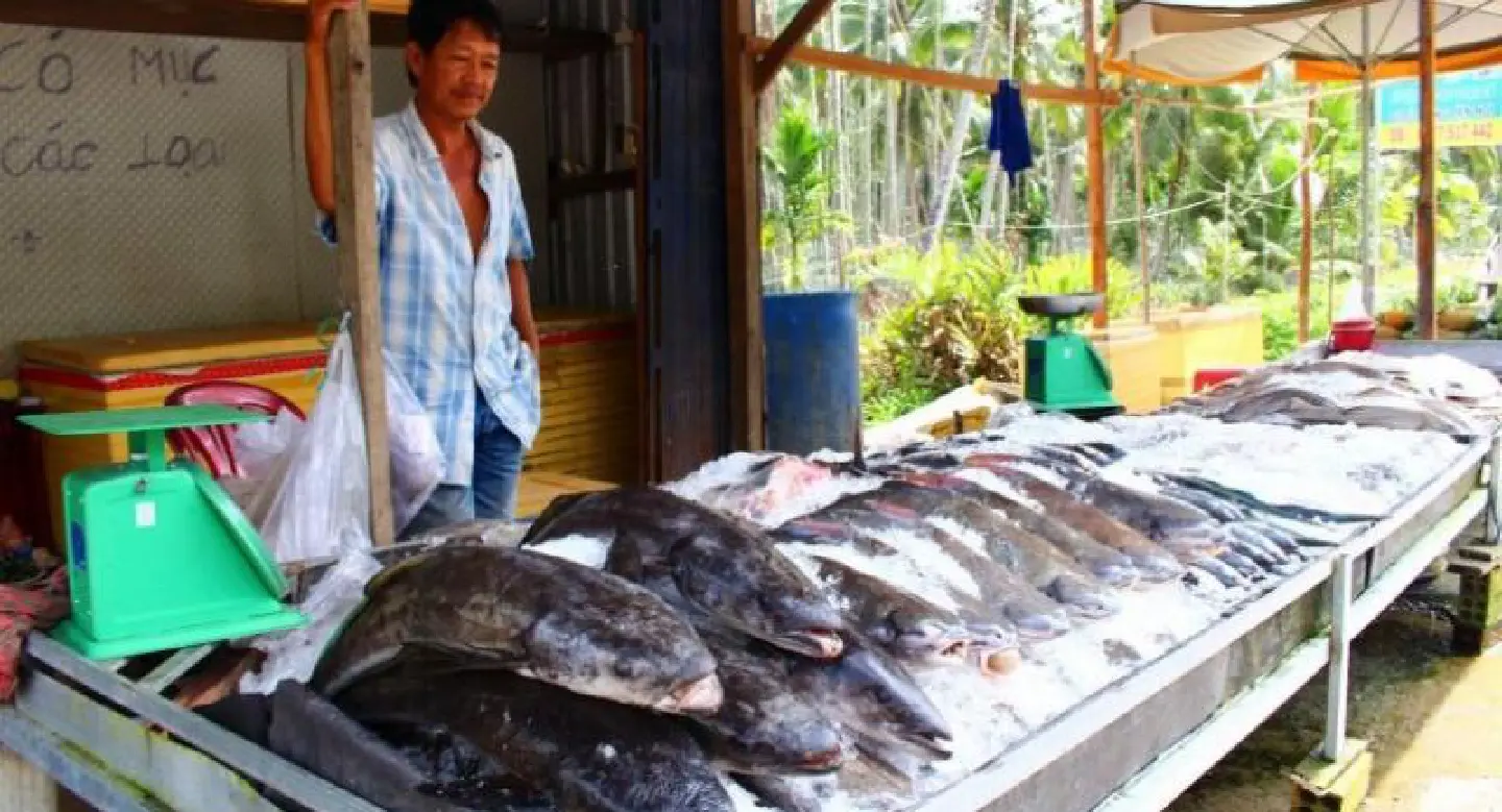 Upstream projects risk Mekong Delta disaster Upstream projects risk Mekong Delta disaster