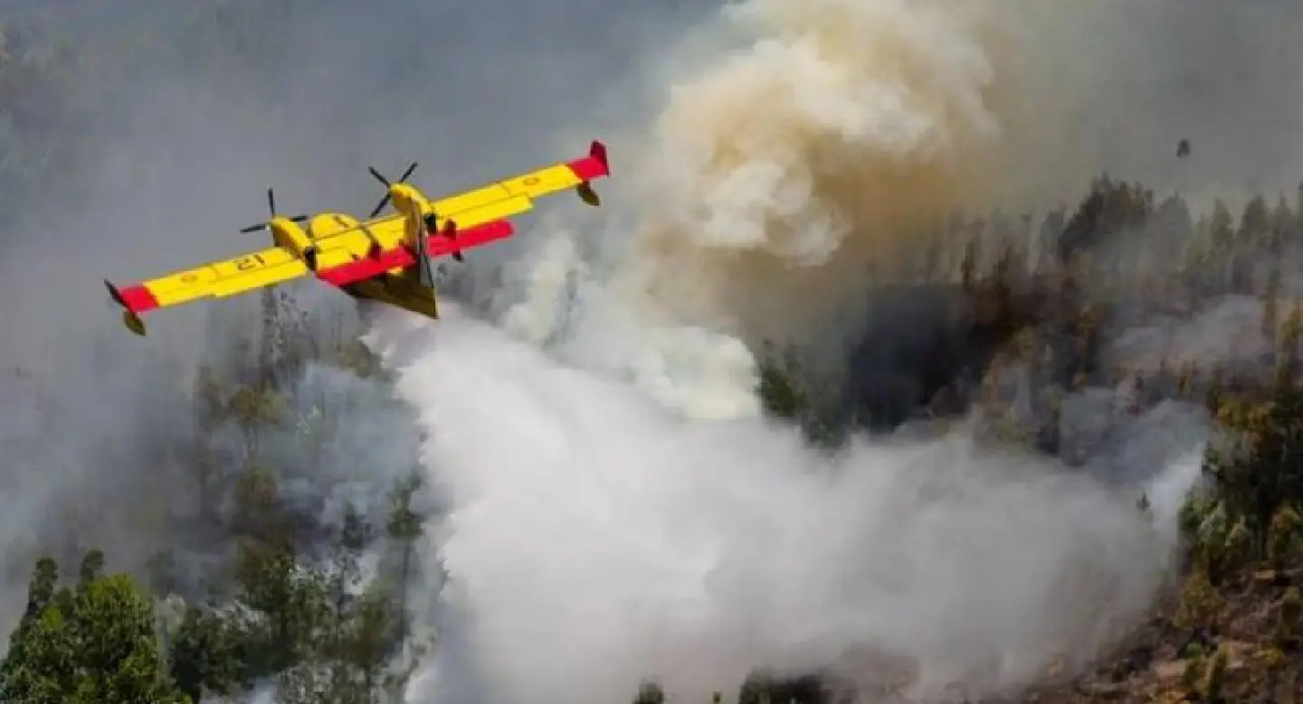 Huge forest fires kill 62 in Portugal Huge forest fires kill 62 in Portugal