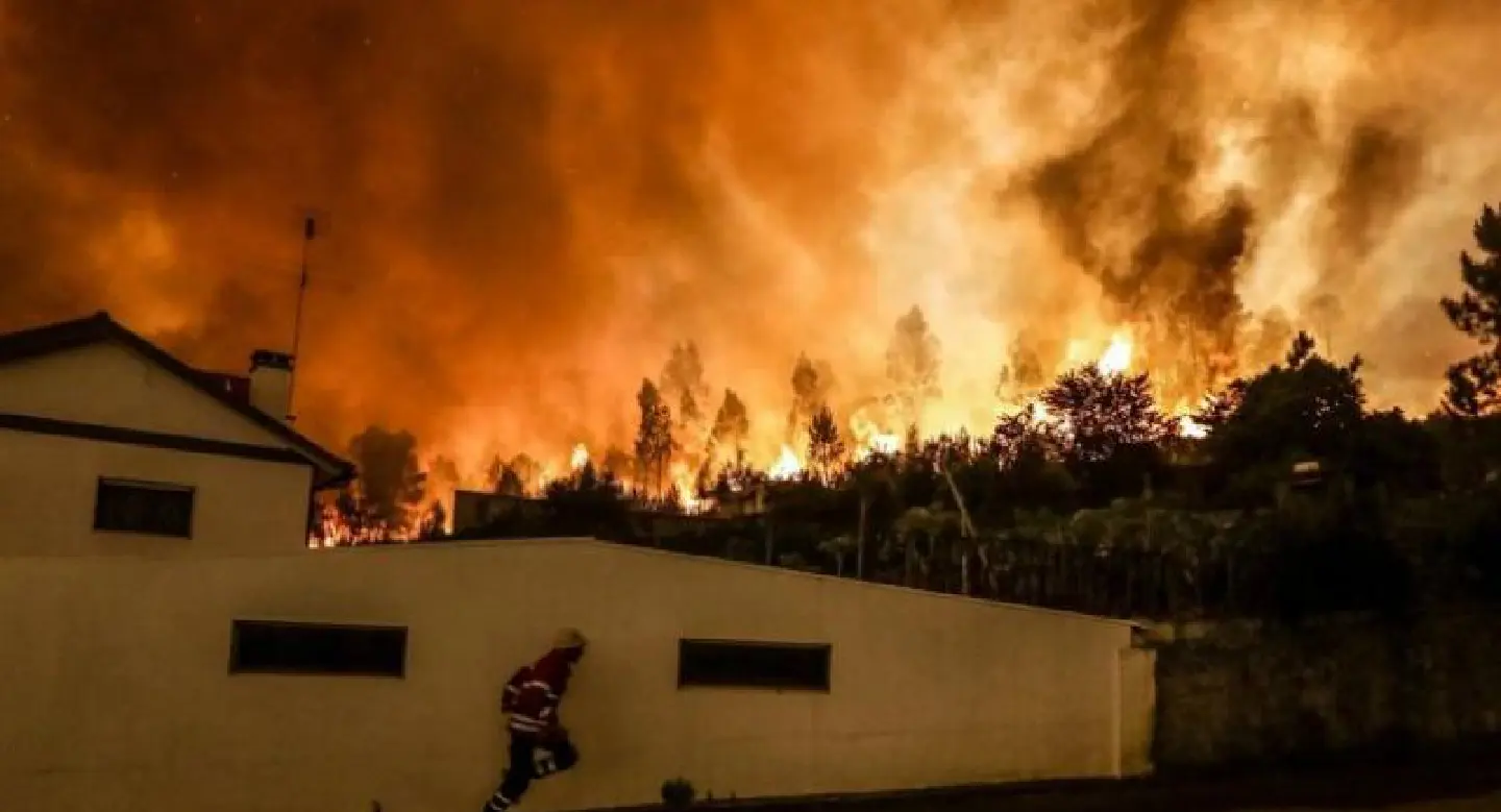 Portugal forest fire: What we know Portugal forest fire: What we know