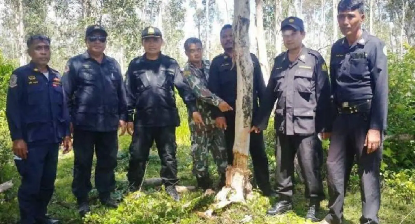 100 rai of violated land seized by officials on Koh Lanta 100 rai of violated land seized by officials on Koh Lanta
