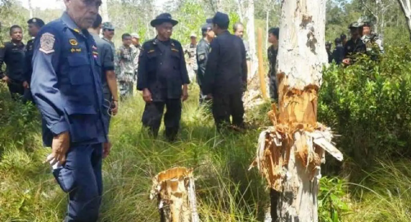 Forestry and Wildlife officers on Koh Lanta seize 100 rai of violated land Forestry and Wildlife officers on Koh Lanta seize 100 rai of violated land
