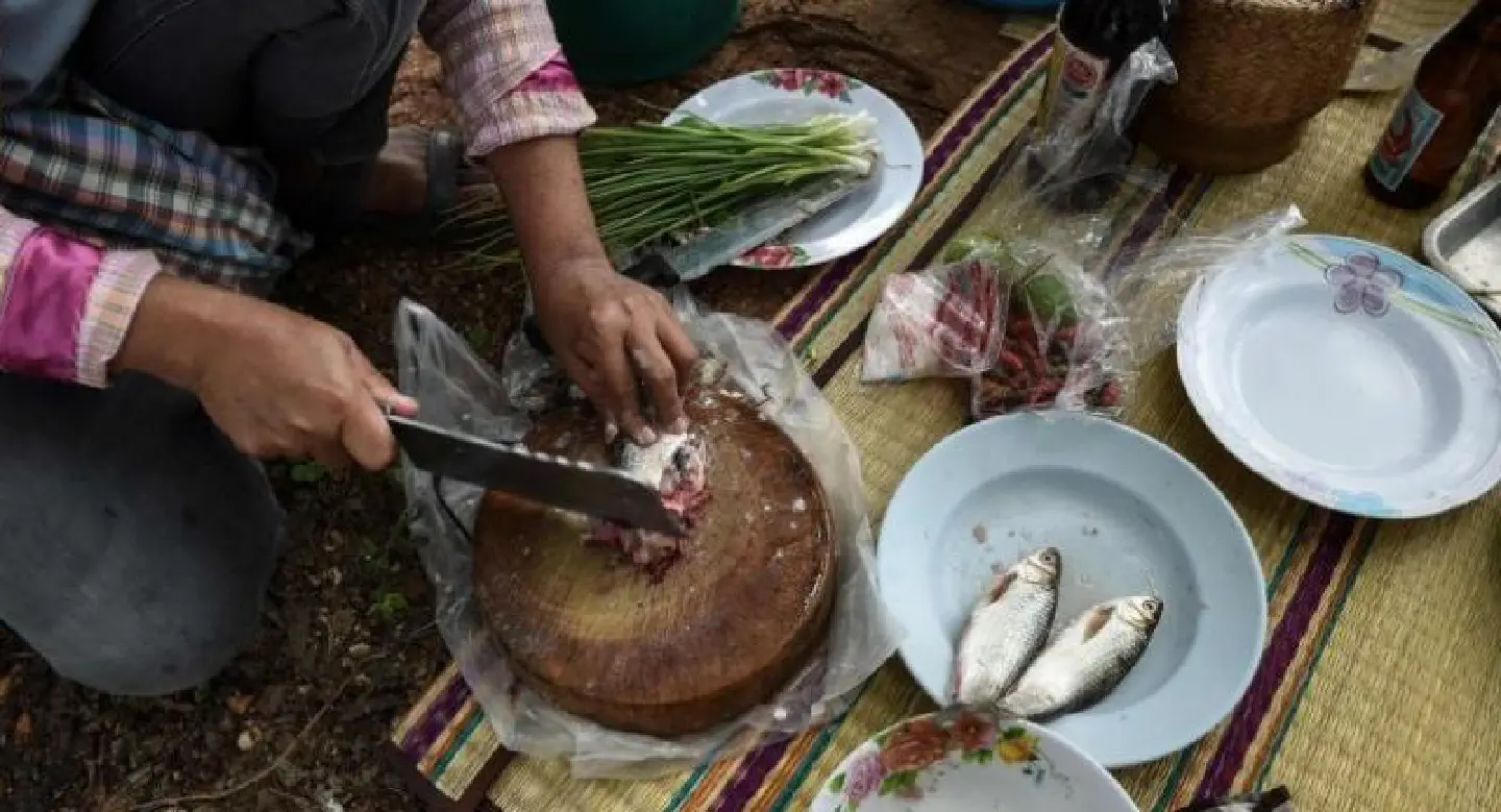Deadly diet: Thai doctors battle cancer-causing fish dish Deadly diet: Thai doctors battle cancer-causing fish dish