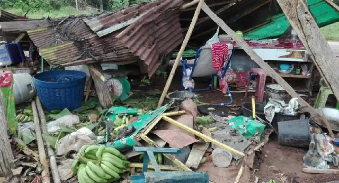 Elephants rampage through Rayong fried-banana stall Elephants rampage through Rayong fried-banana stall