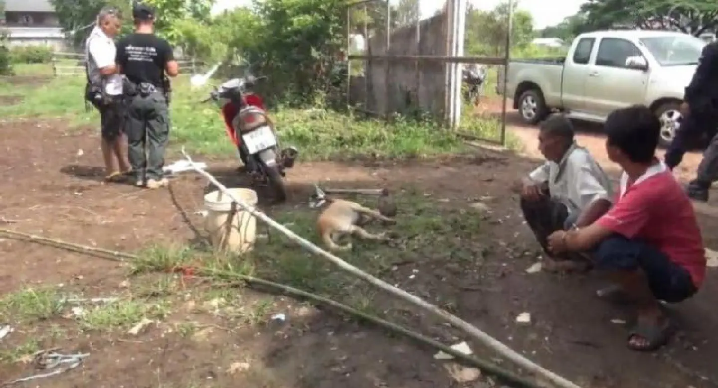 Three men killed dog with intention to eat it, say police Three men killed dog with intention to eat it, say police