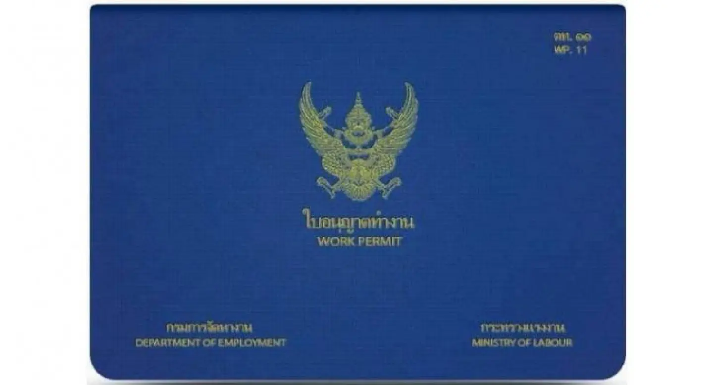 Decree on foreign labour looks like a rush job to academic Decree on foreign labour looks like a rush job to academic
