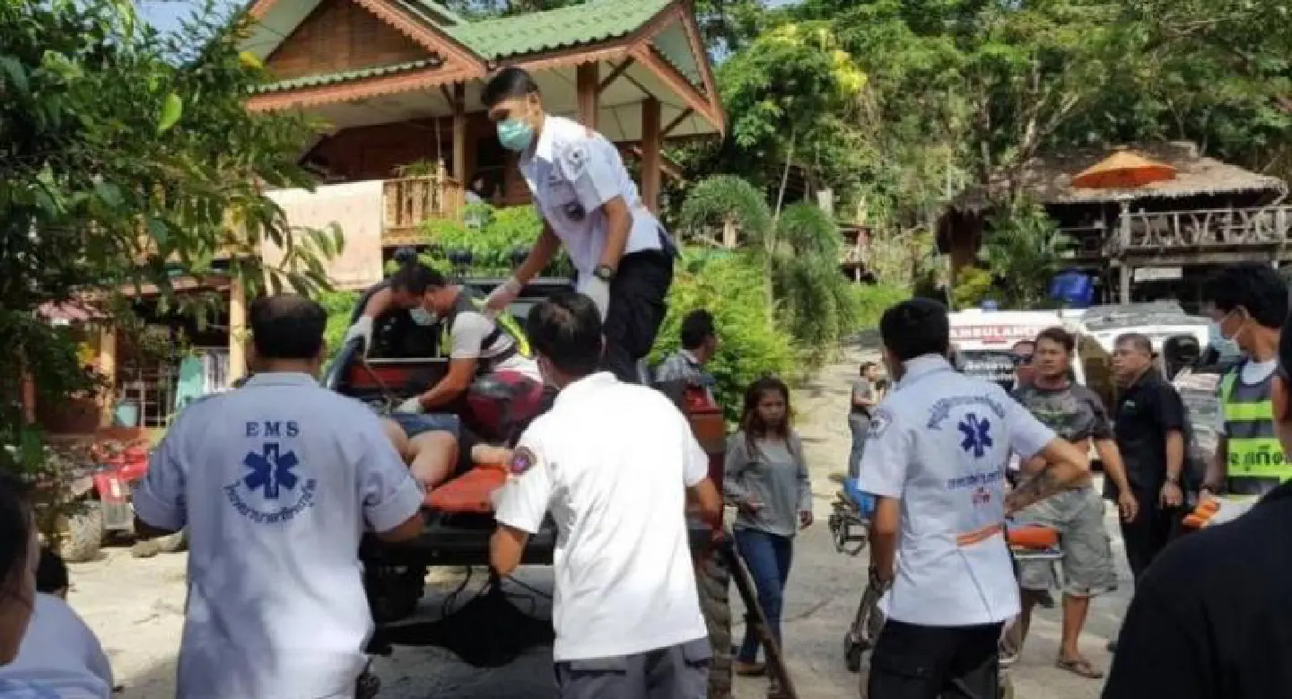 Chinese tourists, mahout injured in falls from elephants Chinese tourists, mahout injured in falls from elephants