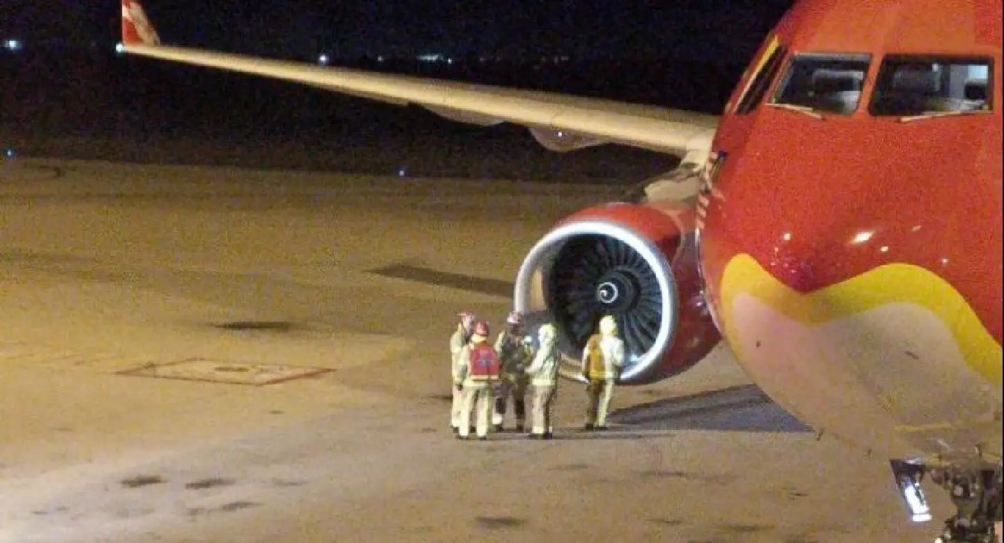 AirAsia jet returns to Australia after suspected bird strike AirAsia jet returns to Australia after suspected bird strike