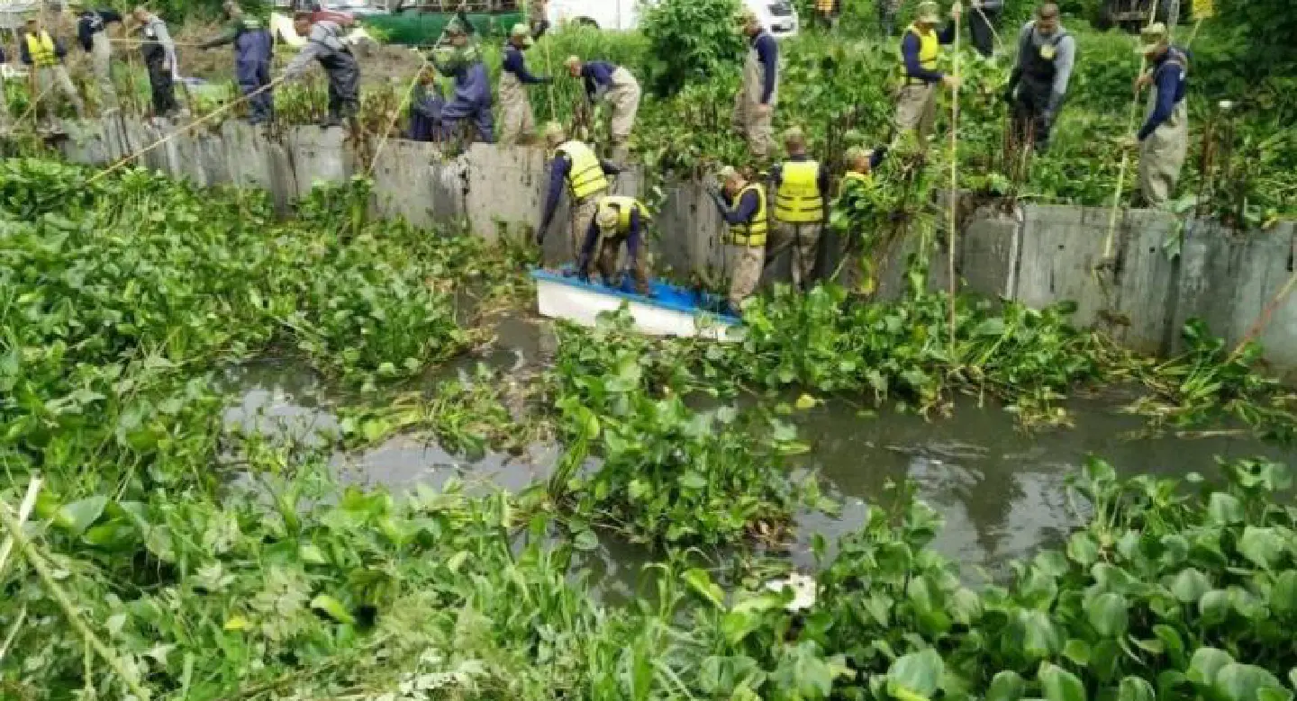 King sends troops to help Bangkok canal clean-up King sends troops to help Bangkok canal clean-up