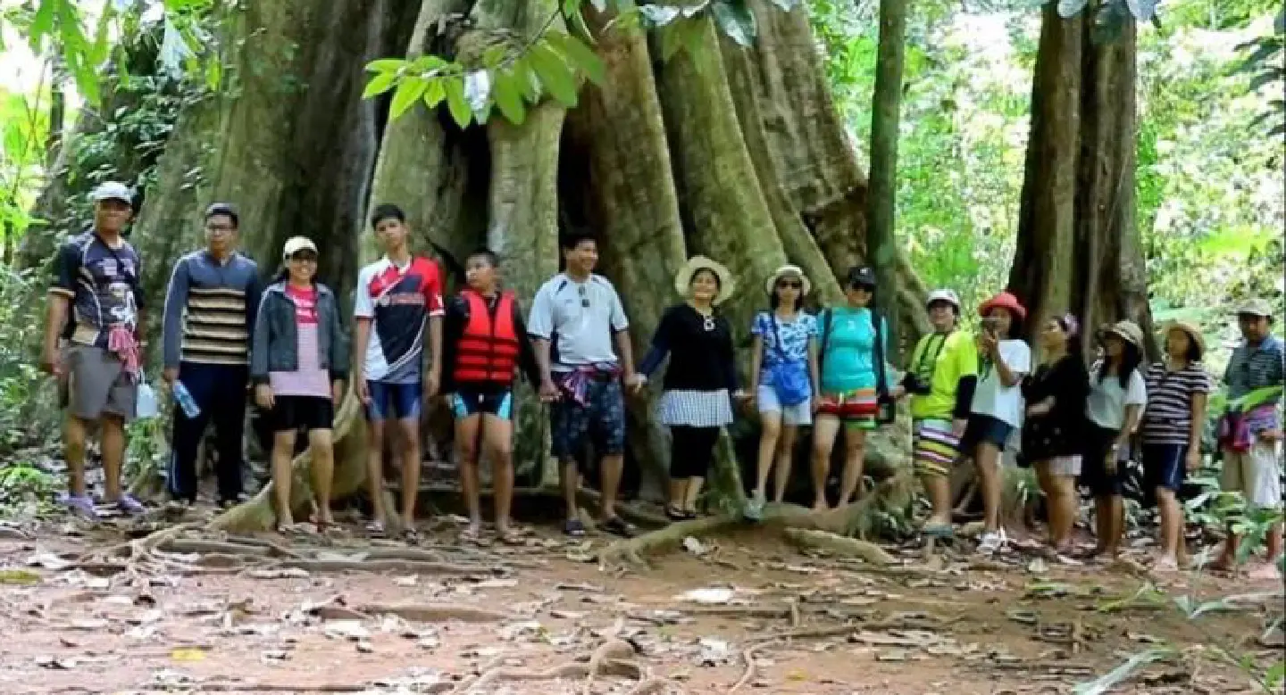 On the bucket list, seeing Thailand’s biggest tree