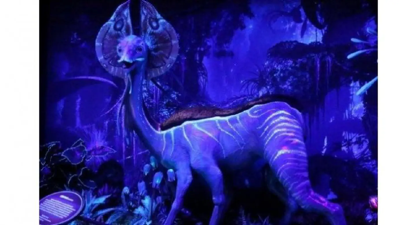 The world of Avatar wows Bangkok with innovative exhibition The world of Avatar wows Bangkok with innovative exhibition