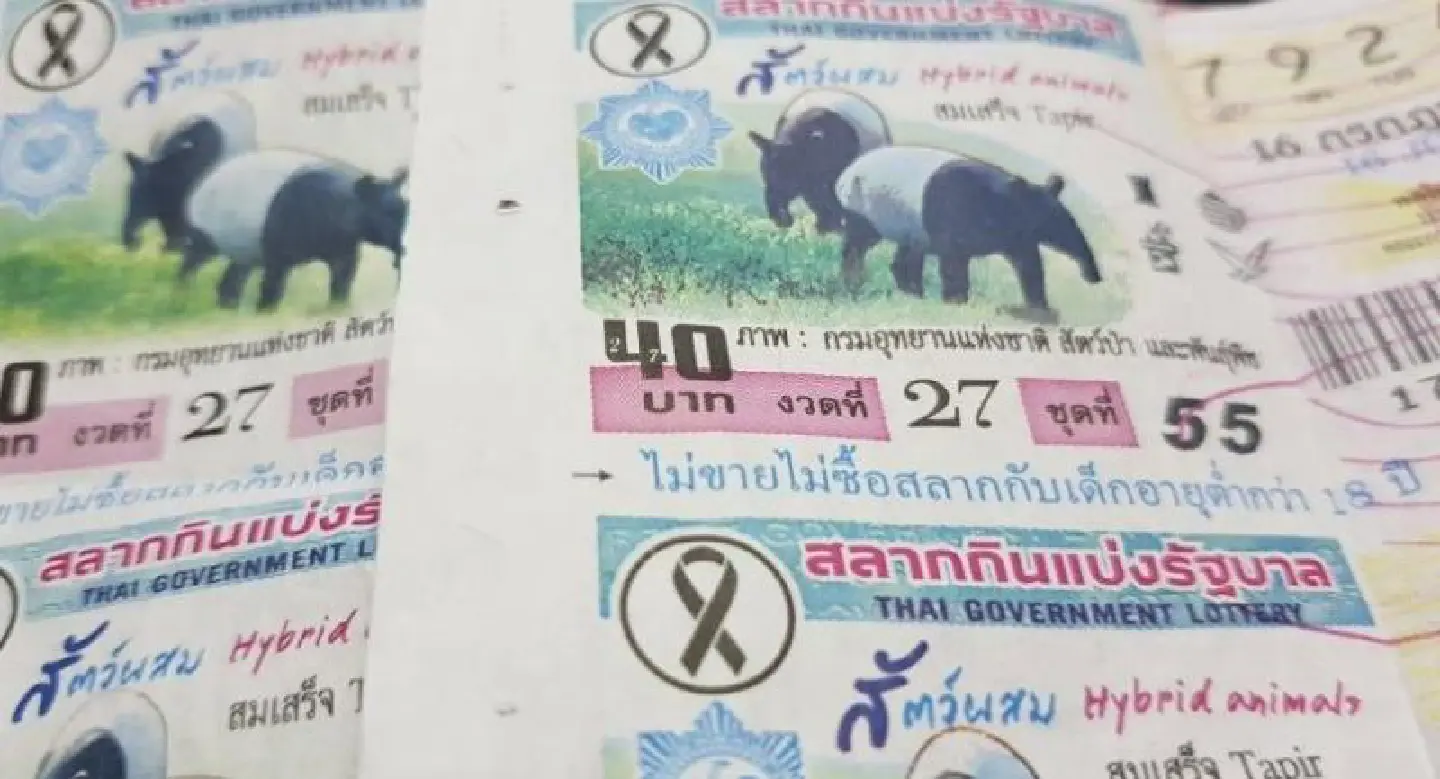 Vet rushes to defence to misidentified tapirs Vet rushes to defence to misidentified tapirs