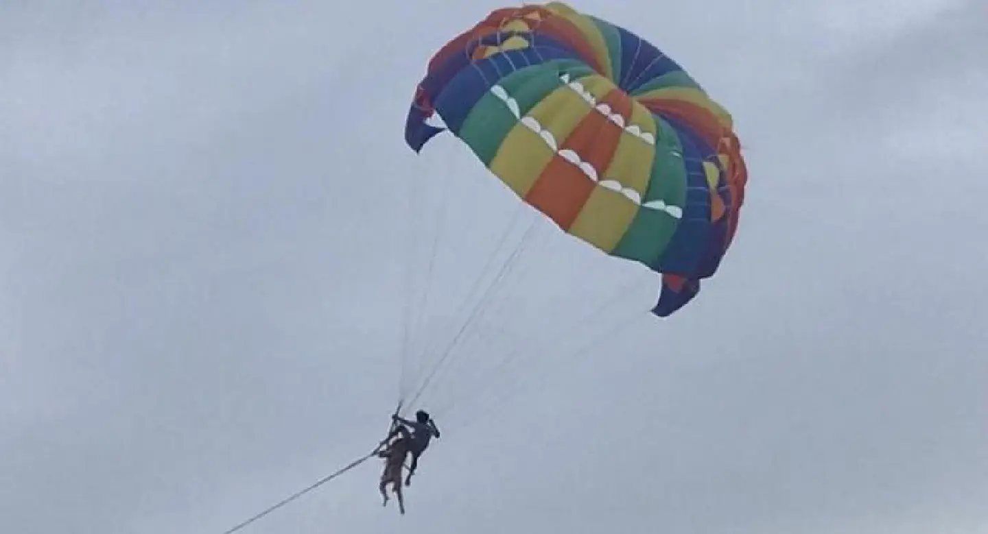 Australian plunges to death in parasailing mishap