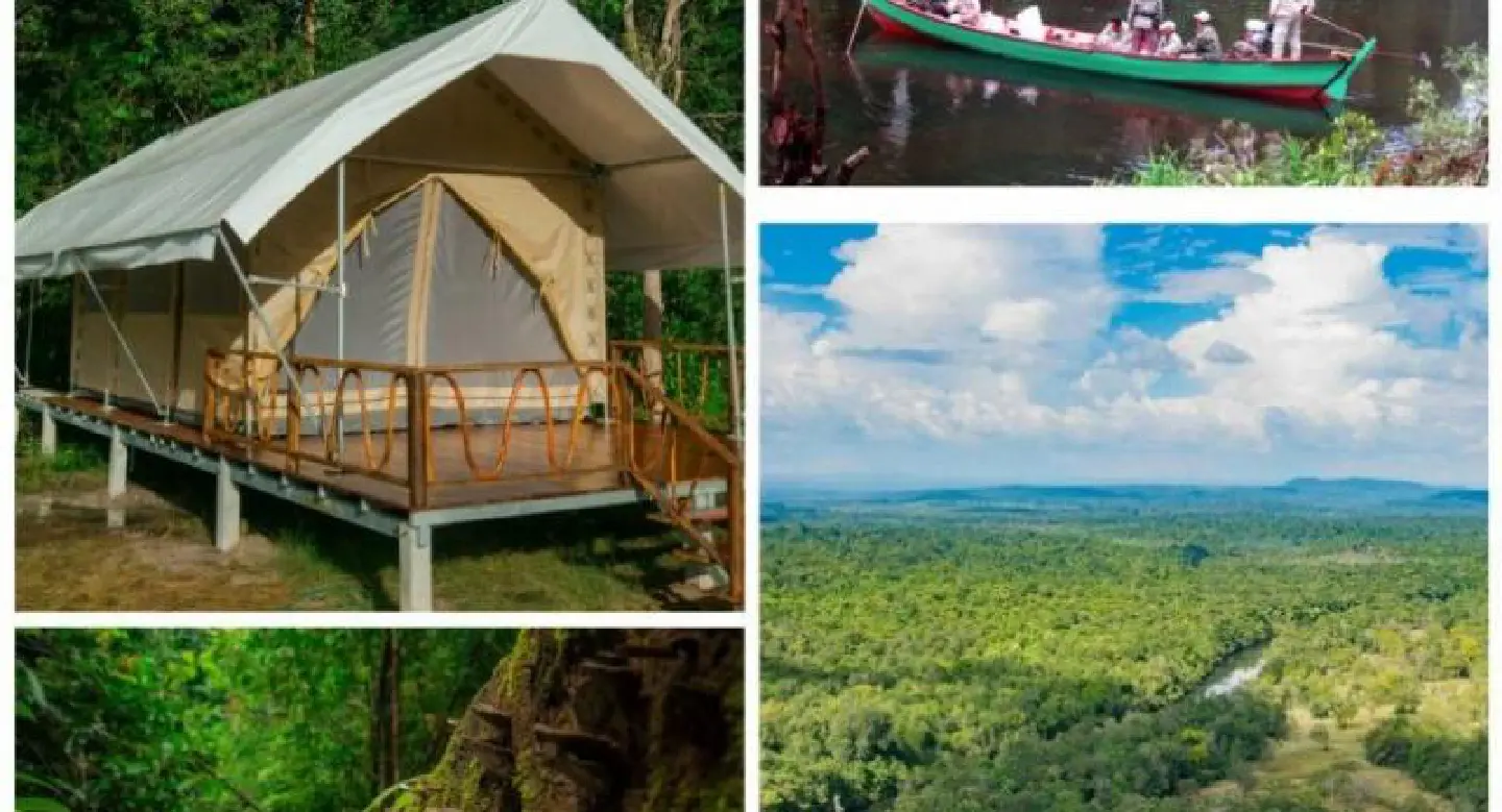 Help keep the forest standing Help keep the forest standing