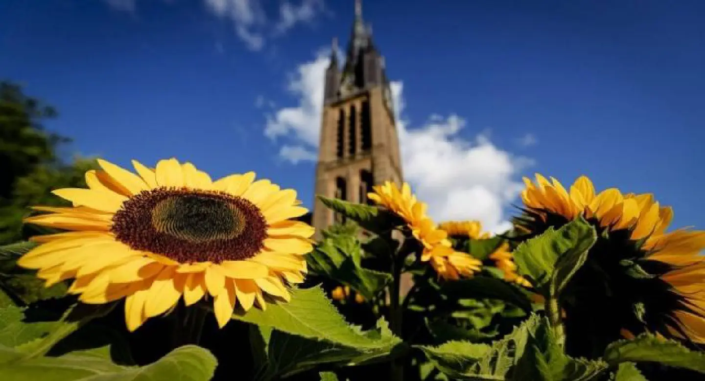 On third MH17 anniversary, families unveil 'living memorial' On third MH17 anniversary, families unveil 'living memorial'