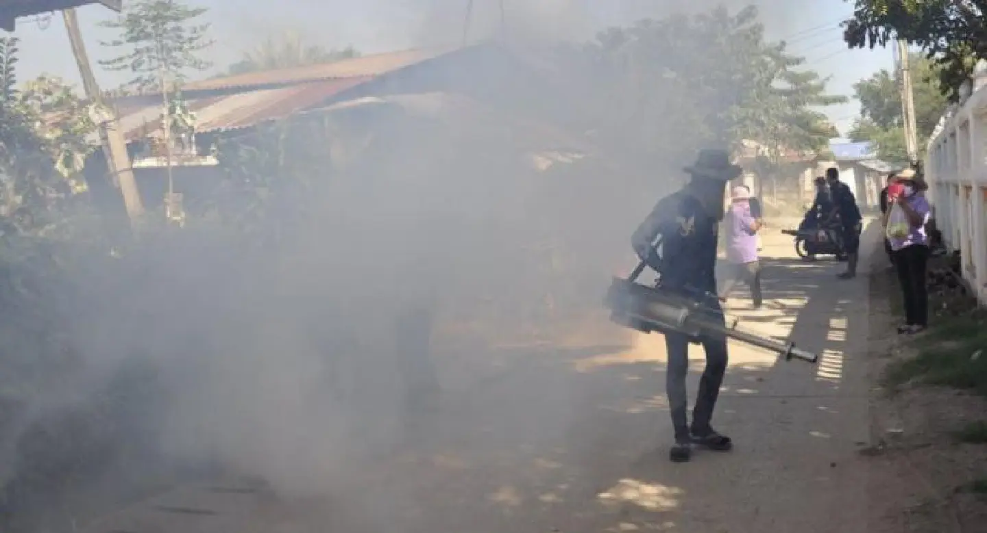 One confirmed dead from dengue fever in Chiang Mai One confirmed dead from dengue fever in Chiang Mai