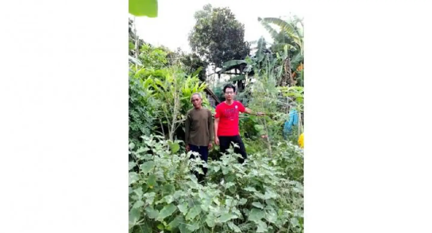 Three Udon Thani men arrested for growing marijuana Three Udon Thani men arrested for growing marijuana
