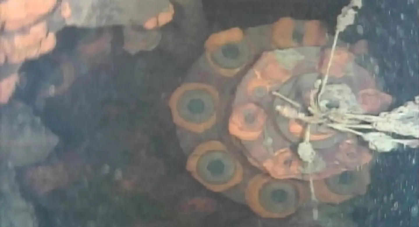 Underwater robot probes inside Fukushima reactor Underwater robot probes inside Fukushima reactor