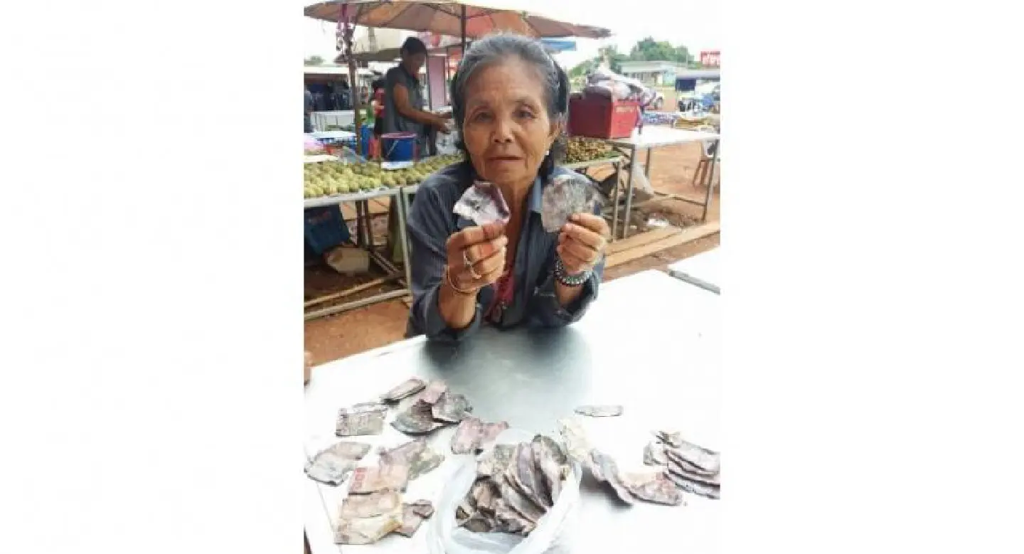 Backyard cash stash rediscovered – but what's it worth? Backyard cash stash rediscovered – but what's it worth?