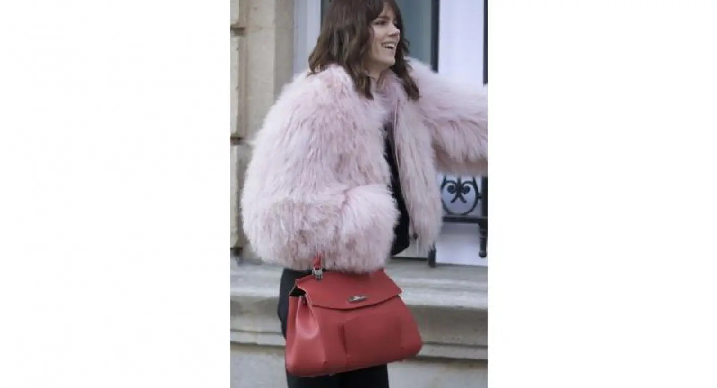 Longchamp in the bag Longchamp in the bag