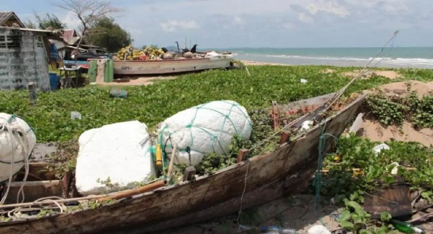 Rayong Bay a ‘dead sea’ for fishermen Rayong Bay a ‘dead sea’ for fishermen