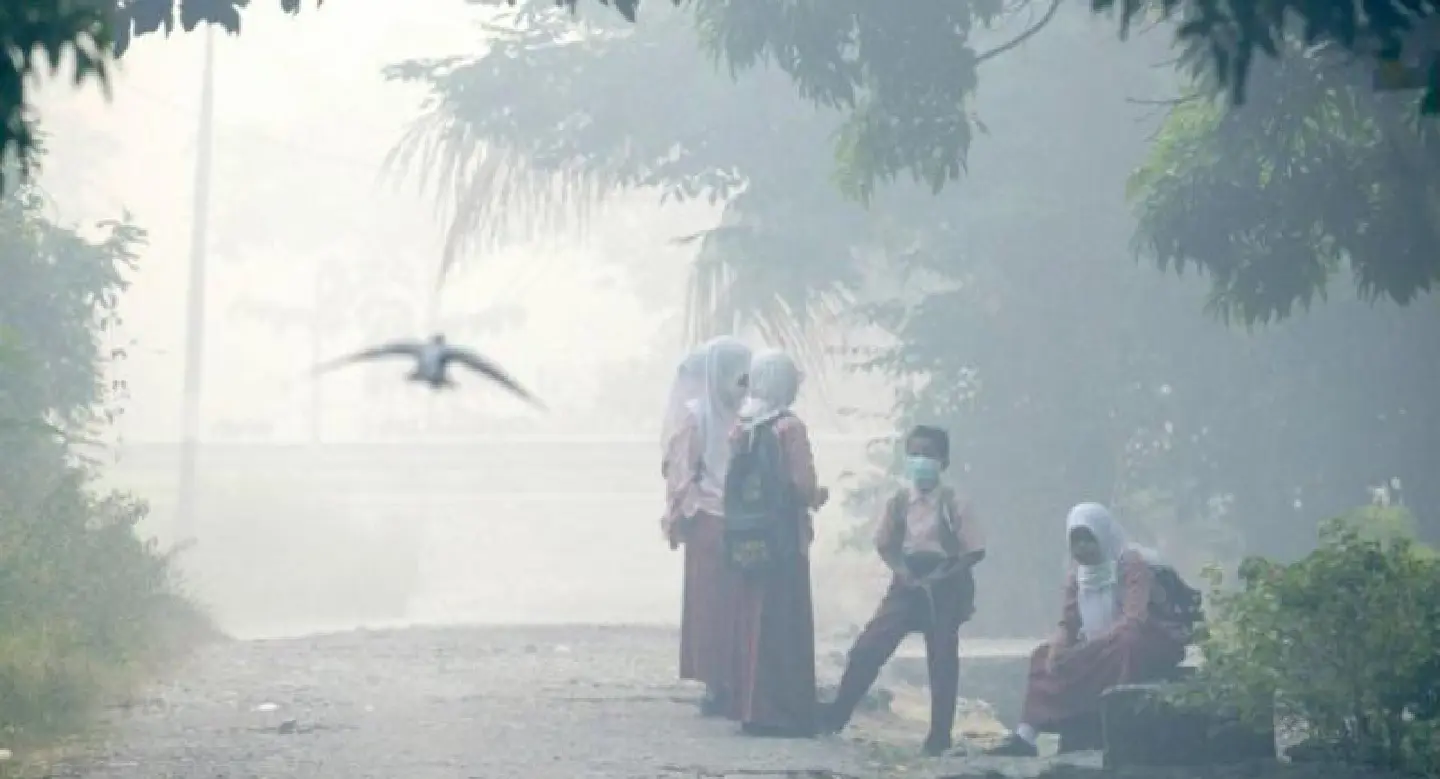 Dozens hospitalised in Indonesia as thick haze spreads