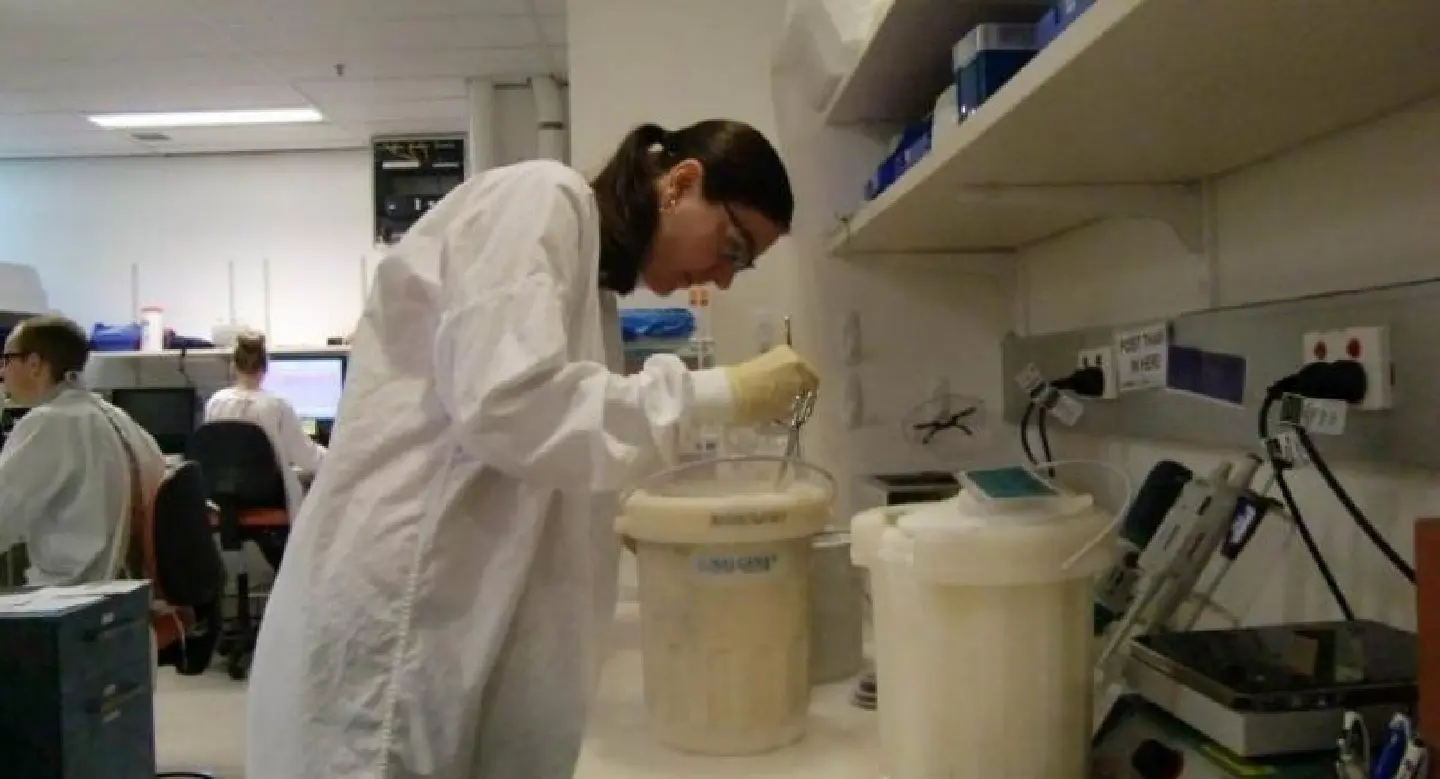 Sperm count declining in the West: study