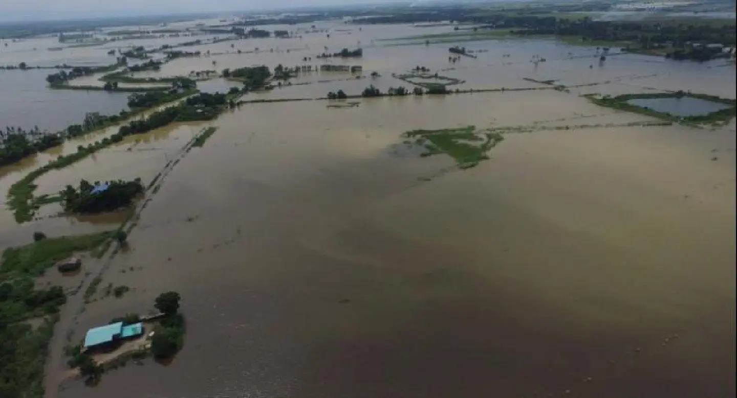 Yom River bursts banks and floods rice farms in Phitsanulok Yom River bursts banks and floods rice farms in Phitsanulok