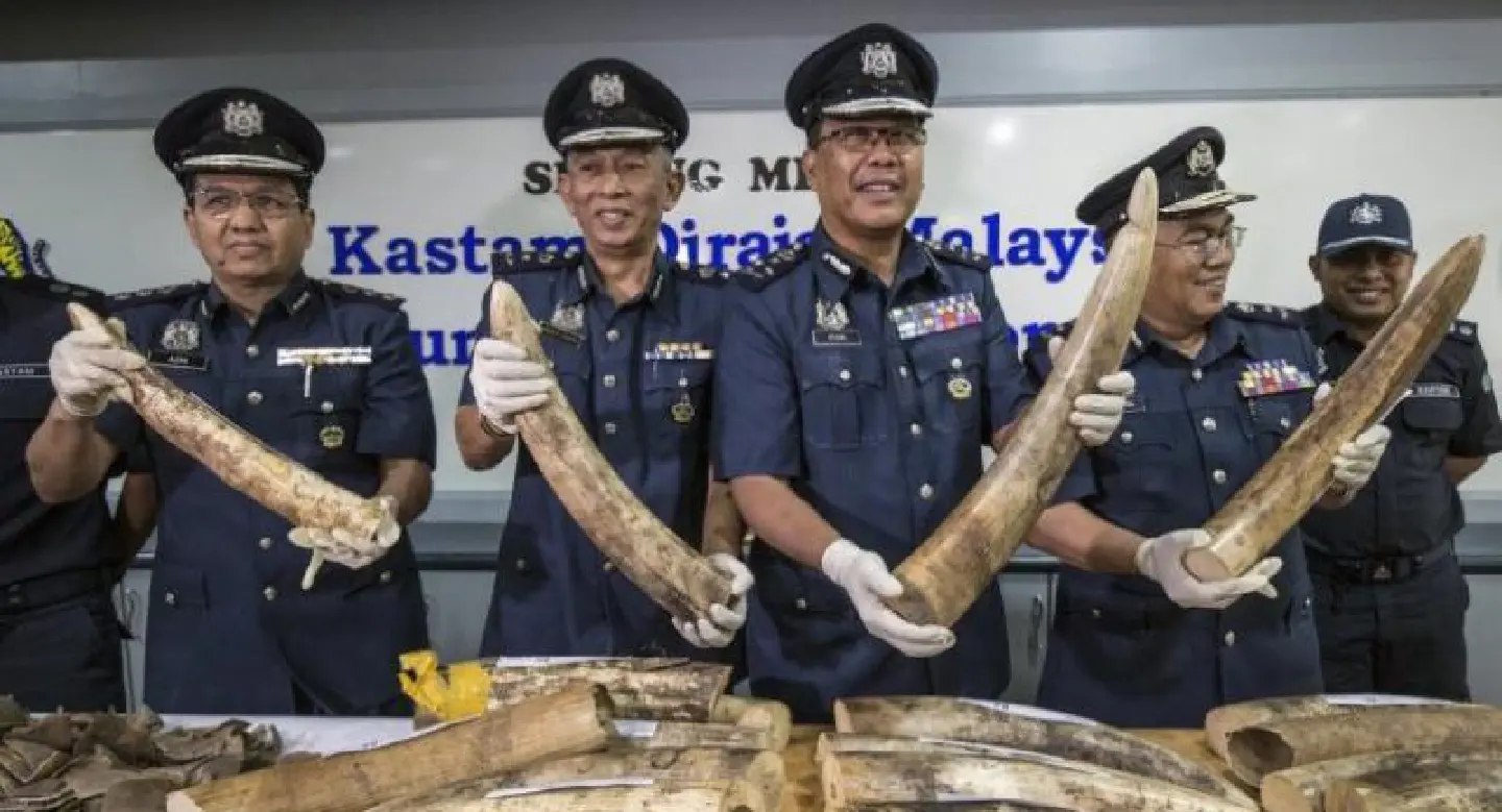 Malaysia seizes rare animal parts worth almost $1 mn Malaysia seizes rare animal parts worth almost $1 mn