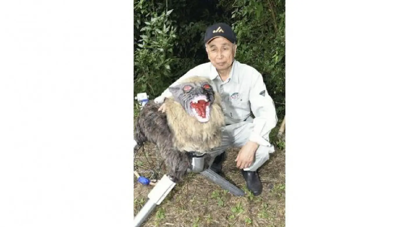 'Monster Wolf' to help scare wildlife away from farmers’ crops 'Monster Wolf' to help scare wildlife away from farmers’ crops