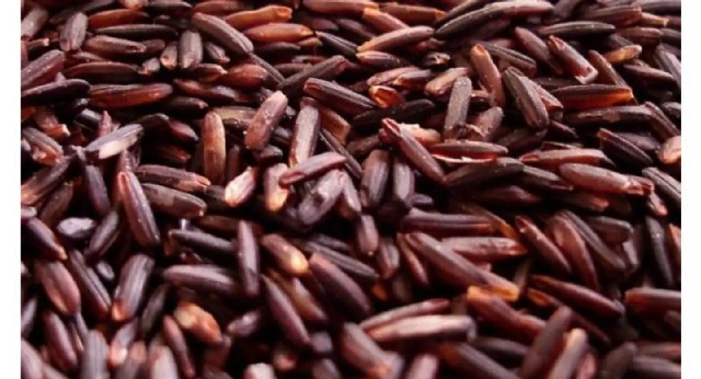 Patum launches 3 rice products Patum launches 3 rice products