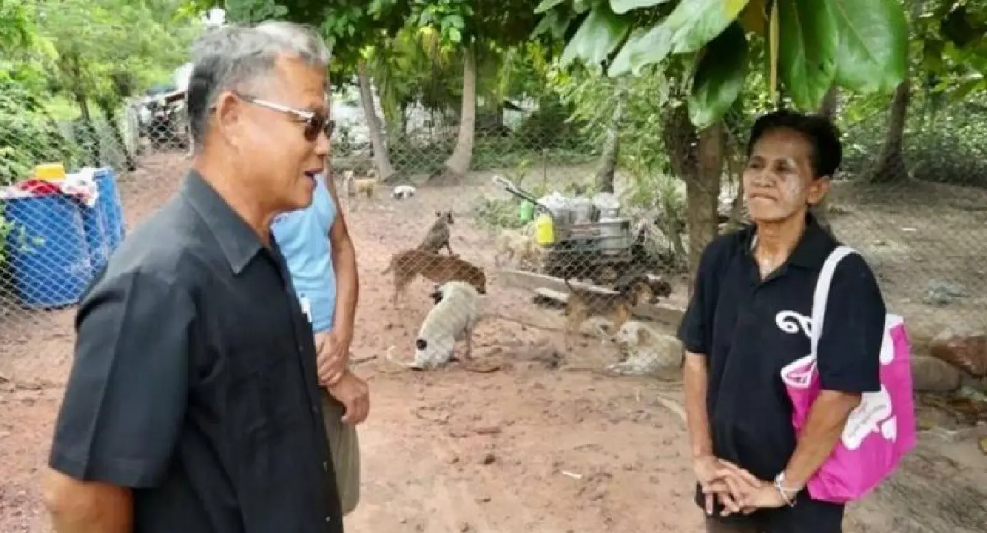 ‘Mother’ of 43 stray dogs gets new home ‘Mother’ of 43 stray dogs gets new home